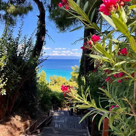 Cute House By The Sea